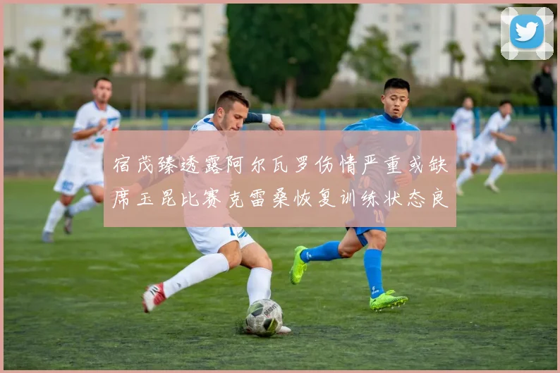宿茂臻透露阿尔瓦罗伤情严重或缺席玉昆比赛克雷桑恢复训练状态良好