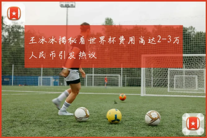 王冰冰揭秘看世界杯费用高达2-3万人民币引发热议